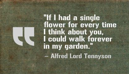 Alfred Lord Tennyson Quote